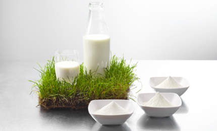 Uelzena offers high-quality food ingredients and expertise in the milk fat processing sector of the food industry.