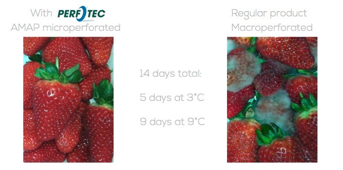 PerfoTec-strawberries comparison