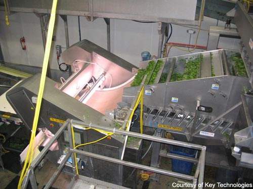 The FluoRaptor system process begins with separating the vegetable material.