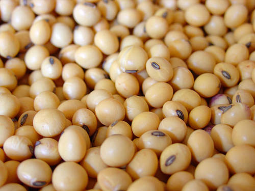 The new Bunge Vietnam plant has a 3,000t soybean crushing capacity.