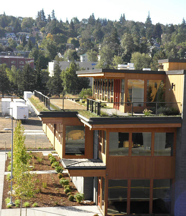 The facility features a green roof which reduces heat gain. Image courtesy of LiveRoof.