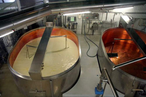 The plant produced 6,000t of cheese in its first year of production.