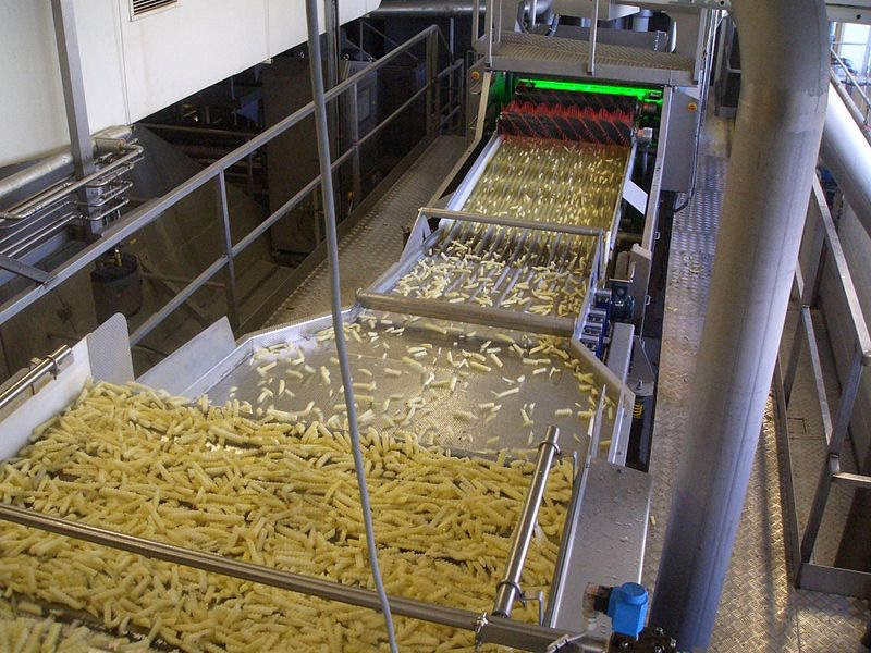 The Florenceville-Bristol French fry facility features equipment such as mixers, peelers, cookers, ovens, fryers, packaging equipment and freezer tunnels. Credit: SortingExpert.