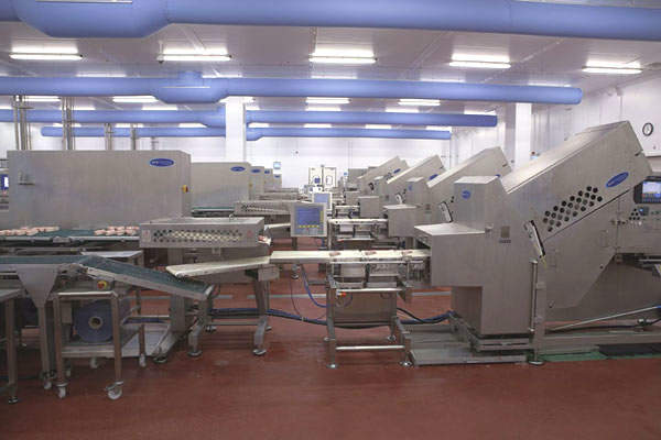 IBS 2000 high speed bacon slicers, totally waterproof G2200 check weighers and buffer lines which automatically regulate slicer output to ensure consistent packing rates.