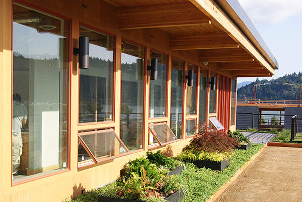 The building’s large windows provide natural lighting. Image courtesy of LiveRoof.