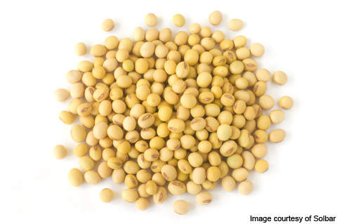 The plant processes 68,000-acres of soybean production annually.