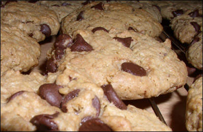 Cookies prior to packaging.