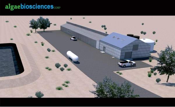 Locating the facility in Holbrook is expected to give a competitive edge to AlgaeBio. Image courtesy of Algae Biosciences.