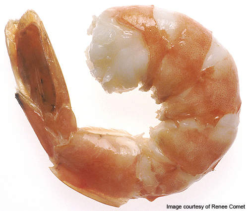 The Hau Giang plant processes white shrimp, black tiger shrimp and pink shrimp.