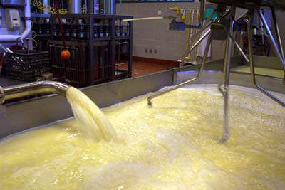 Curds and whey being pumped into Curdmaster flexible vat.