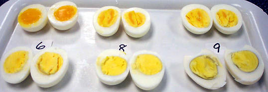 Egg quality being checked during the egg mayonnaise production process.
