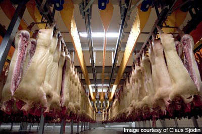 Danish Crown's new pork processing plant at Horsens, Denmark, was inaugurated in May 2005.