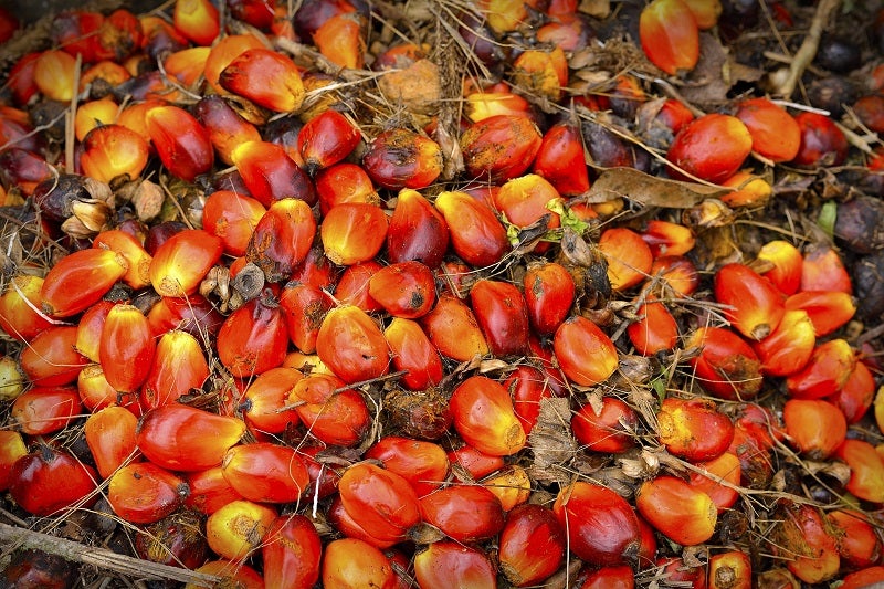 palm oil food