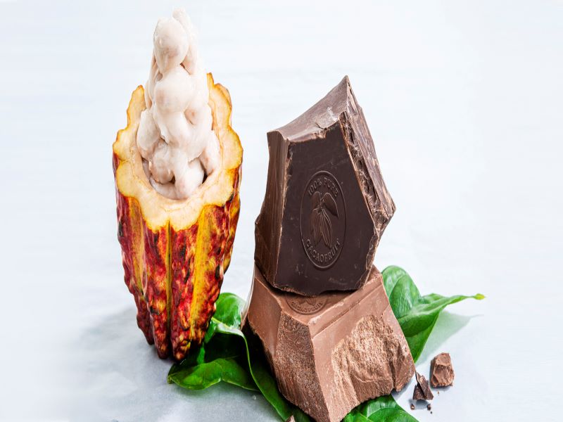 Barry Callebaut launched the Cacaofruit Experience range of productions in September 2019. Credit: Barry Callebaut.