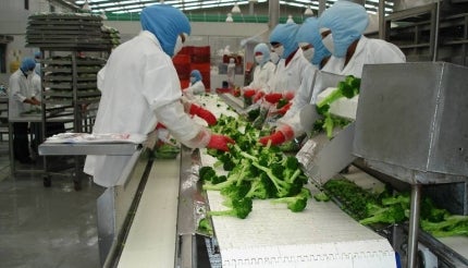Vegetable processing