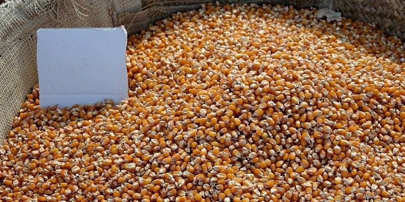 Cargill Wet Corn Milling Plant, Karnataka - Food Processing Technology